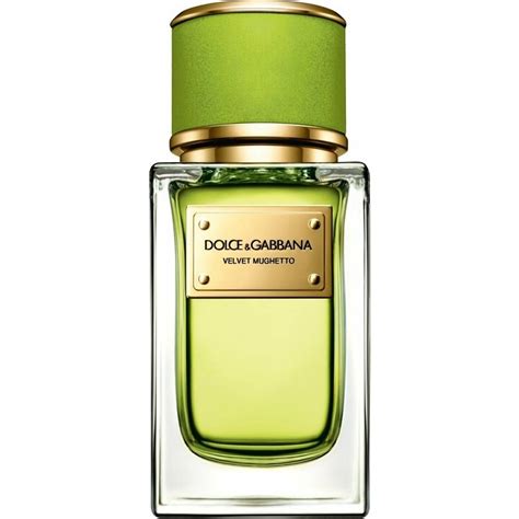 collezione profumi dolce gabbana isole|Profumo Velvet Mughetto .